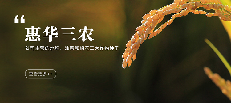 金佰利(国际)官方网站入口